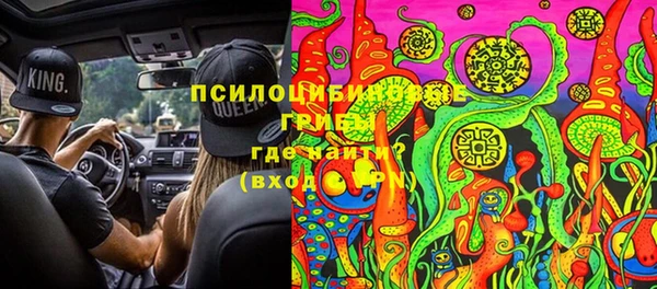 СК Абаза