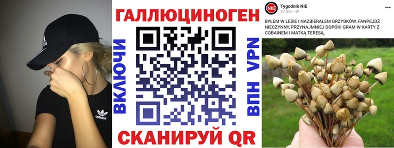 цена наркотик  Ленинградская  Галлюциногенные грибы мицелий 